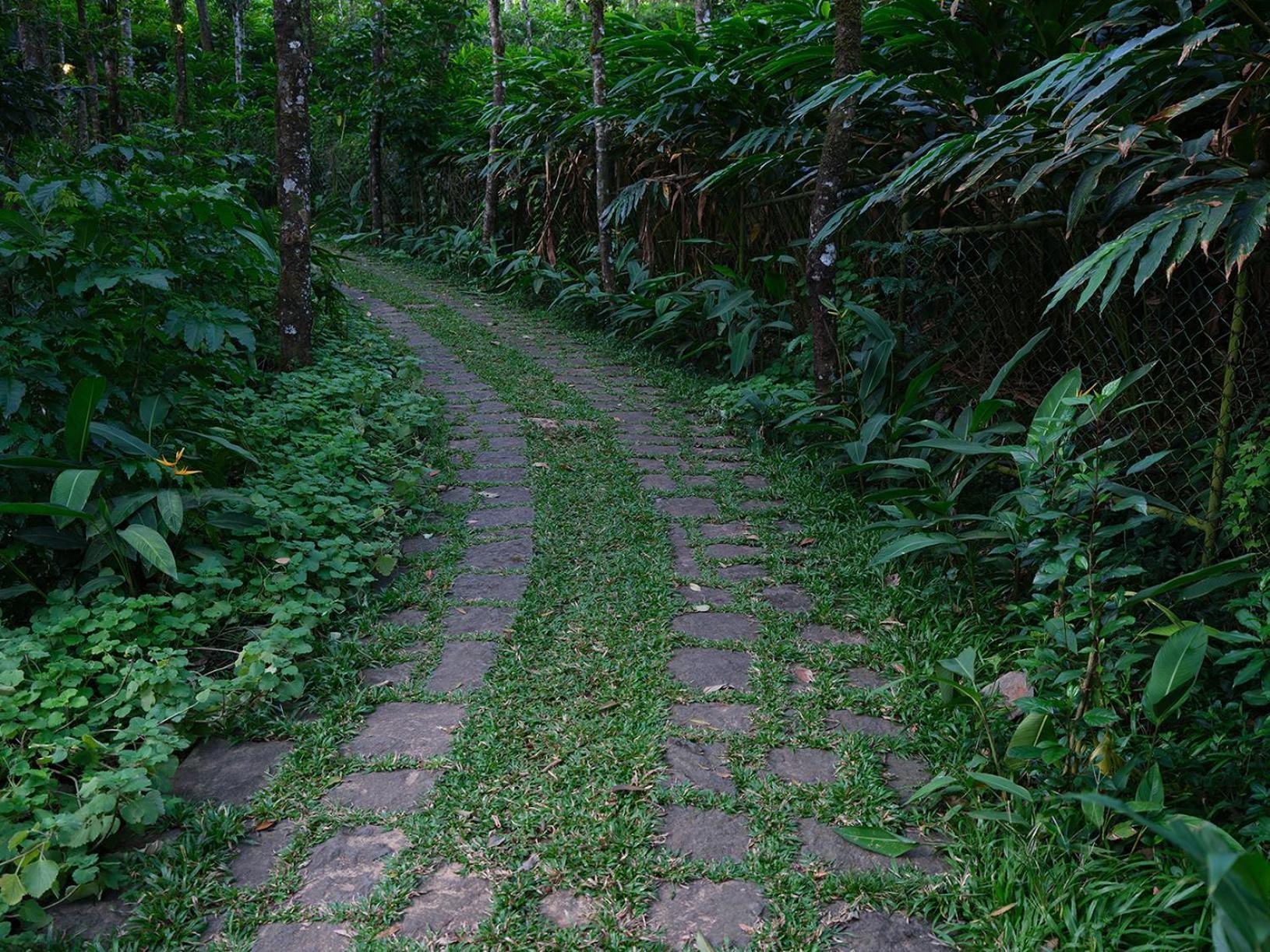 Mystic Mayapott, טקאדי מראה חיצוני תמונה